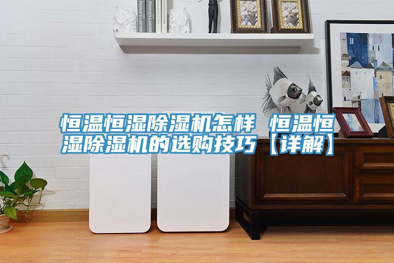恒温恒湿猫咪成人官网怎样 恒温恒湿猫咪成人官网的选购技巧【详解】