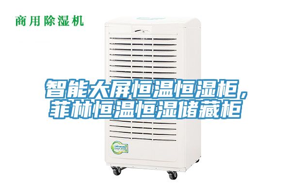 智能大屏恒温恒湿柜，菲林恒温恒湿储藏柜