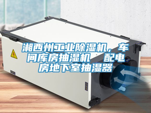 湘西州工业猫咪成人官网，车间库房抽湿机  配电房地下室抽湿器