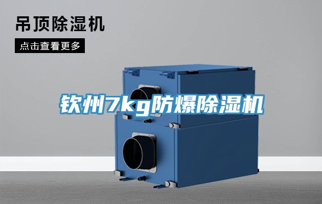 钦州7kg防爆猫咪成人官网