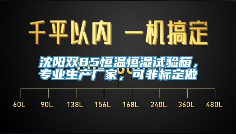 沈阳双85恒温恒湿试验箱，专业生产厂家，可非标定做