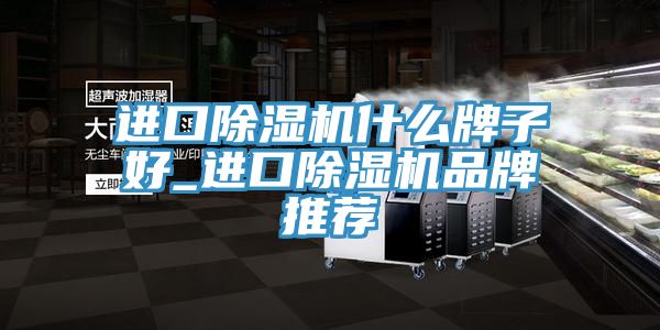 进口猫咪成人官网什么牌子好_进口猫咪成人官网品牌推荐