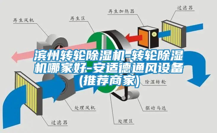 滨州转轮猫咪成人官网-转轮猫咪成人官网哪家好-安适德通风设备(推荐商家)