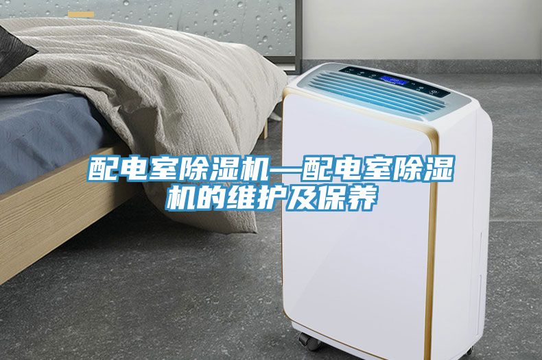 配电室猫咪成人官网—配电室猫咪成人官网的维护及保养