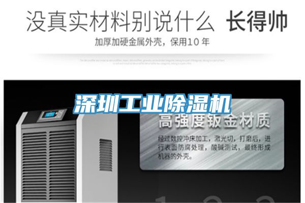 深圳工业猫咪成人官网