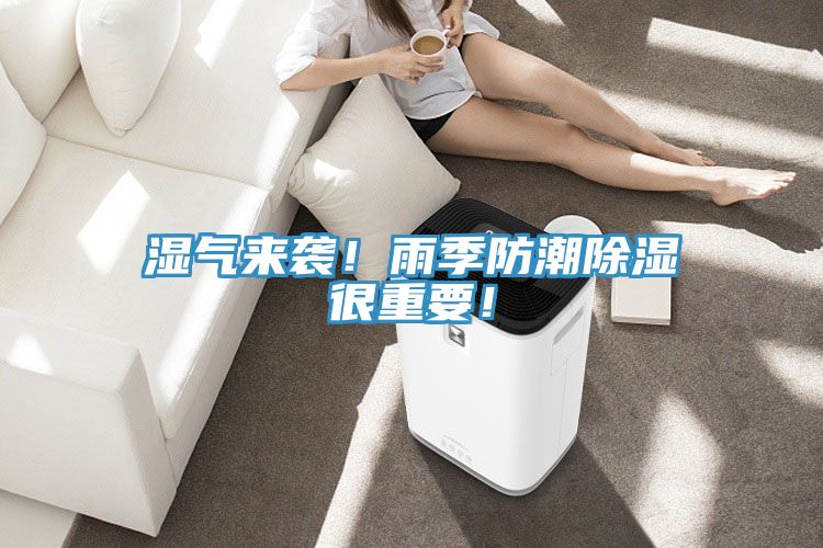 湿气来袭！雨季防潮除湿很重要！