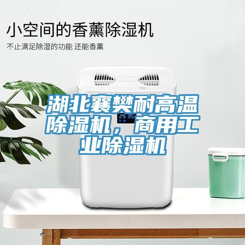 湖北襄樊耐高温猫咪成人官网，商用工业猫咪成人官网