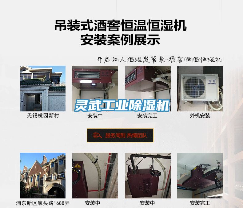 灵武工业猫咪成人官网