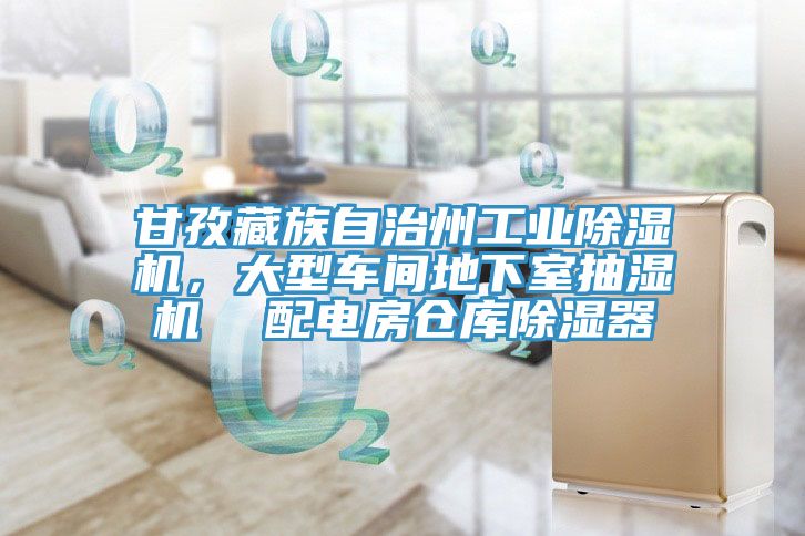 甘孜藏族自治州工业猫咪成人官网，大型车间地下室抽湿机  配电房仓库除湿器