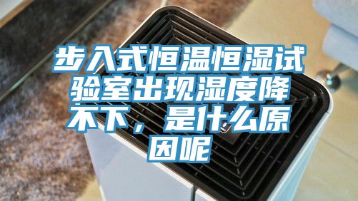 步入式恒温恒湿试验室出现湿度降不下，是什么原因呢