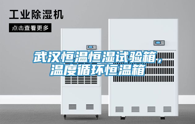 武汉恒温恒湿试验箱，温度循环恒温箱