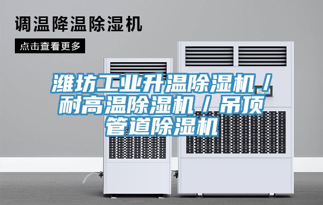 潍坊工业升温猫咪成人官网／耐高温猫咪成人官网／吊顶管道猫咪成人官网