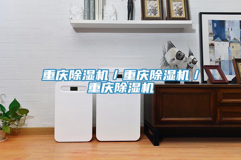 重庆猫咪成人官网／重庆猫咪成人官网／重庆猫咪成人官网