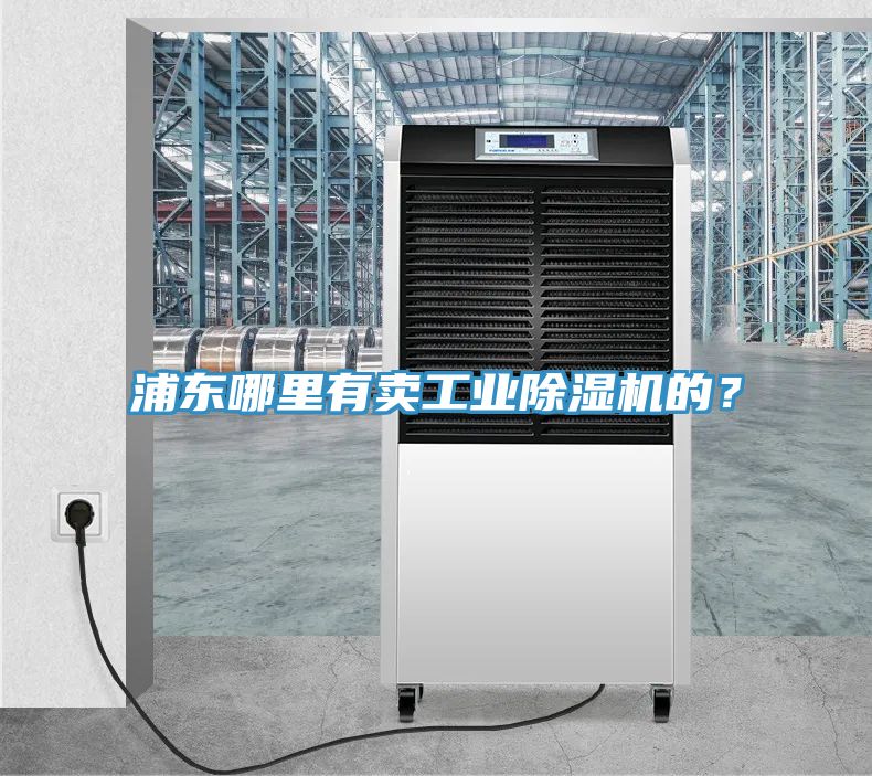 浦东哪里有卖工业猫咪成人官网的？