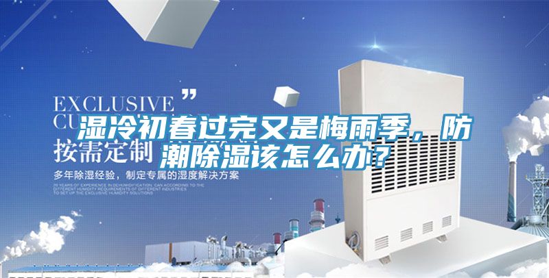湿冷初春过完又是梅雨季，防潮除湿该怎么办？
