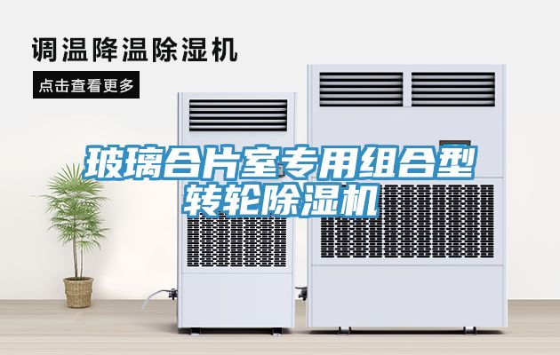 玻璃合片室专用组合型转轮猫咪成人官网