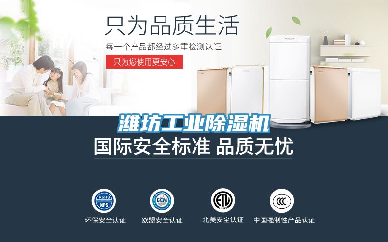 潍坊工业猫咪成人官网