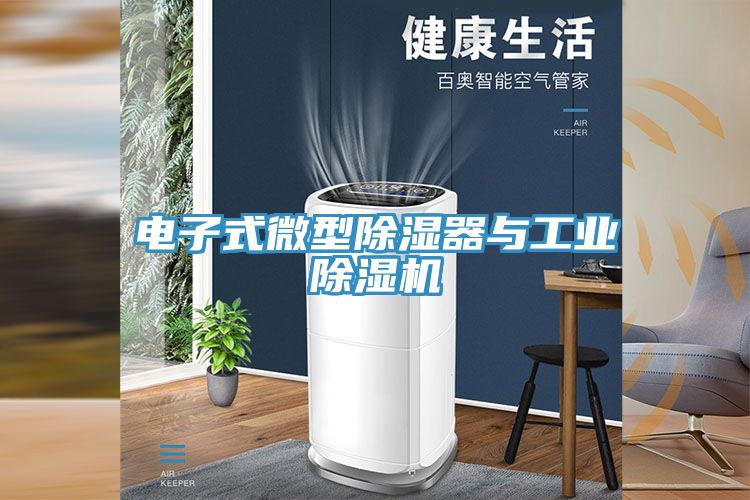 电子式微型除湿器与工业猫咪成人官网