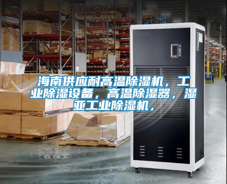 海南供应耐高温猫咪成人官网，工业除湿设备，高温除湿器，湿亚工业猫咪成人官网，