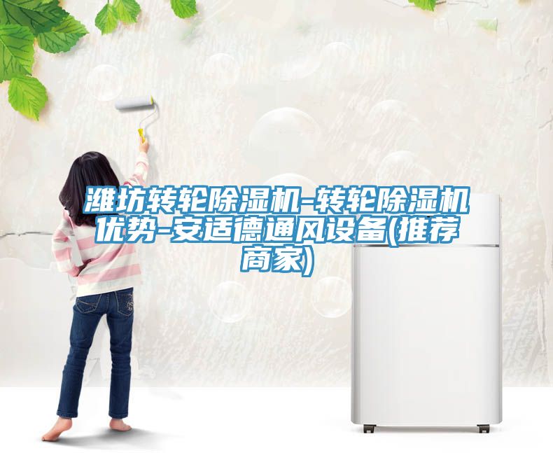 潍坊转轮猫咪成人官网-转轮猫咪成人官网优势-安适德通风设备(推荐商家)