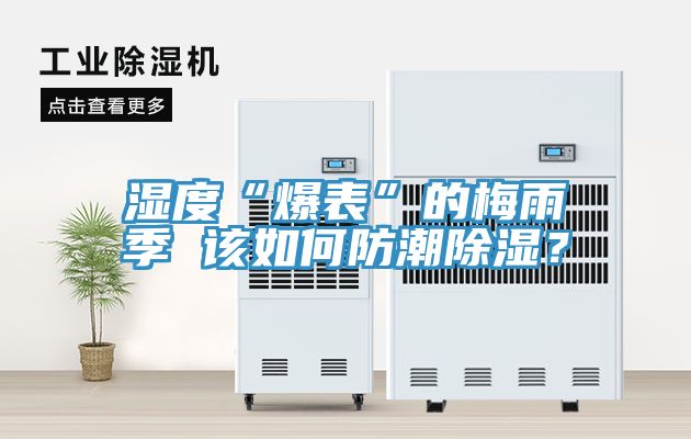 湿度“爆表”的梅雨季 该如何防潮除湿？