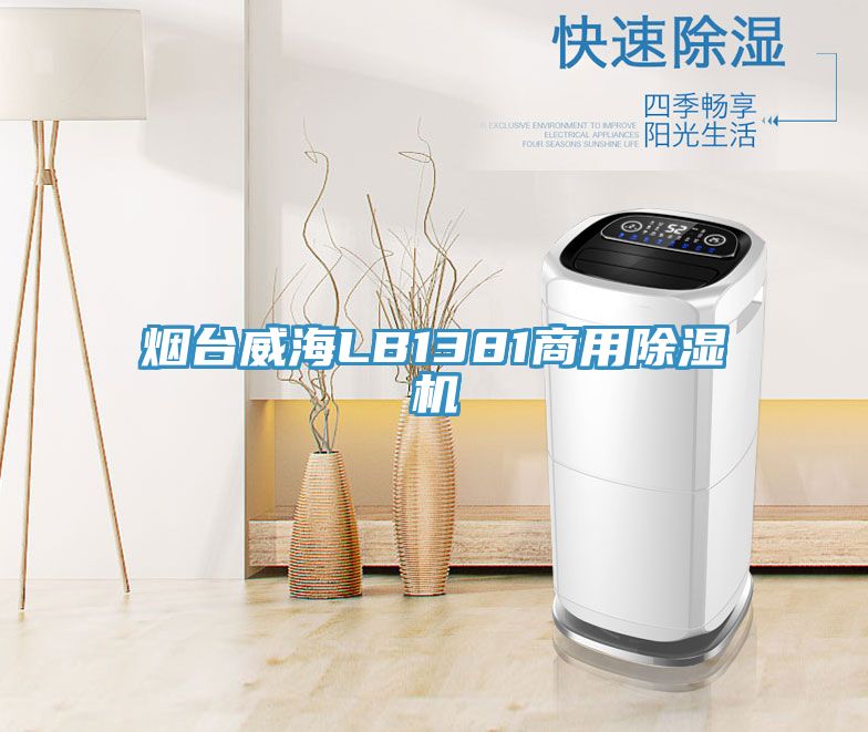 烟台威海LB1381商用猫咪成人官网