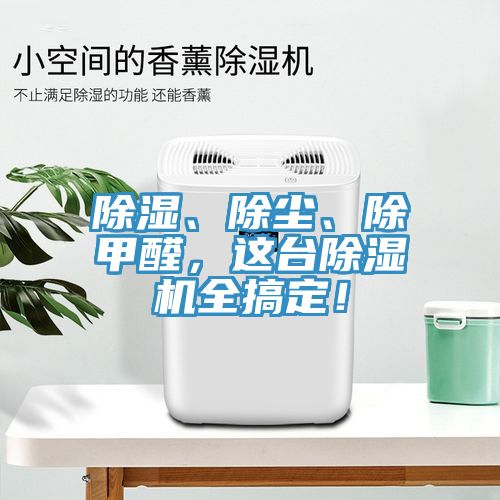 除湿、除尘、除甲醛，这台猫咪成人官网全搞定！