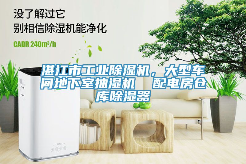 湛江市工业猫咪成人官网，大型车间地下室抽湿机  配电房仓库除湿器