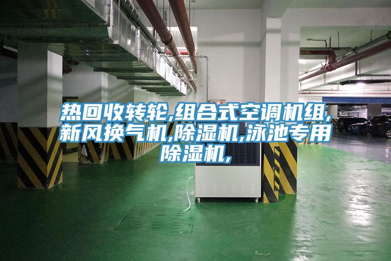 热回收转轮,组合式空调机组,新风换气机,猫咪成人官网,泳池专用猫咪成人官网,
