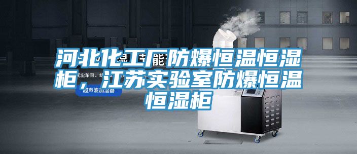 河北化工厂防爆恒温恒湿柜，江苏实验室防爆恒温恒湿柜