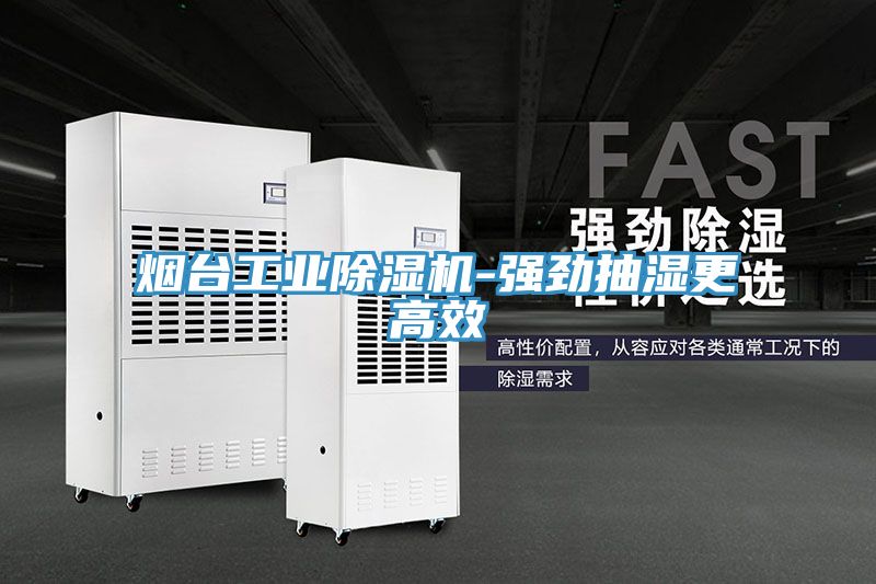 烟台工业猫咪成人官网-强劲抽湿更高效