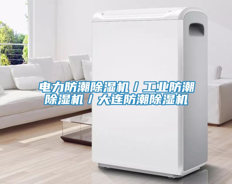 电力防潮猫咪成人官网／工业防潮猫咪成人官网／大连防潮猫咪成人官网