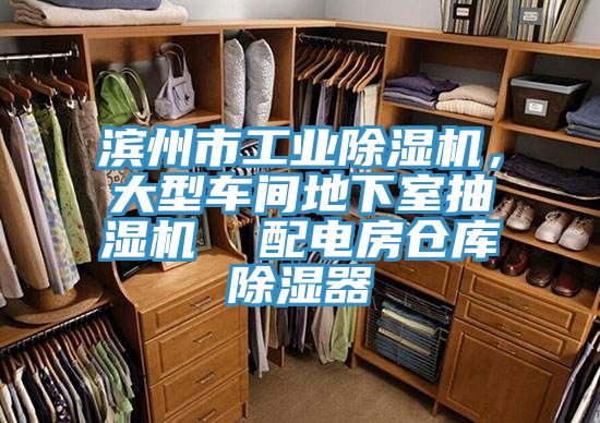 滨州市工业猫咪成人官网，大型车间地下室抽湿机  配电房仓库除湿器