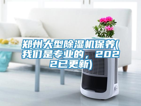 郑州大型猫咪成人官网保养(猫咪成人在线视频是专业的，2022已更新)