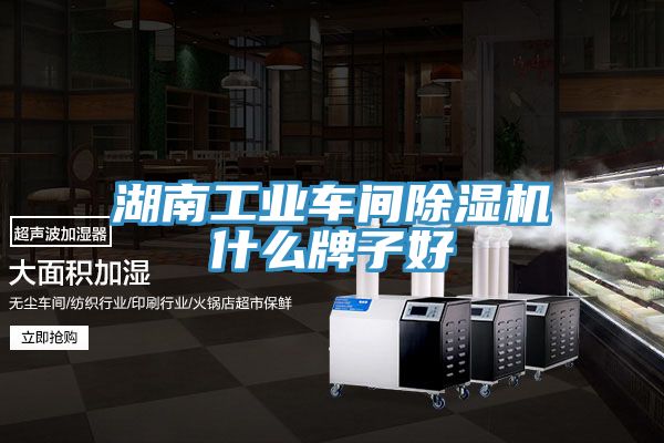 湖南工业车间猫咪成人官网什么牌子好