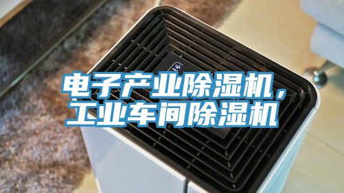 电子产业猫咪成人官网，工业车间猫咪成人官网