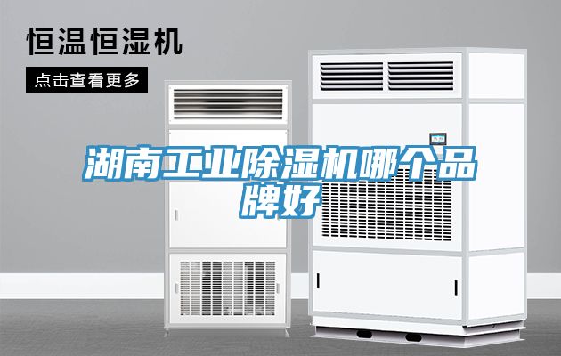 湖南工业猫咪成人官网哪个品牌好