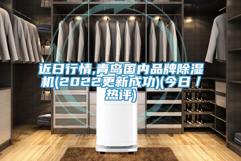 近日行情,青岛国内品牌猫咪成人官网(2022更新成功)(今日／热评)