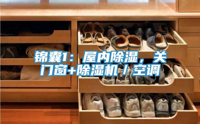 锦囊1：屋内除湿，关门窗+猫咪成人官网／空调