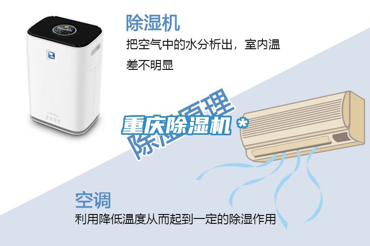 重庆猫咪成人官网＊