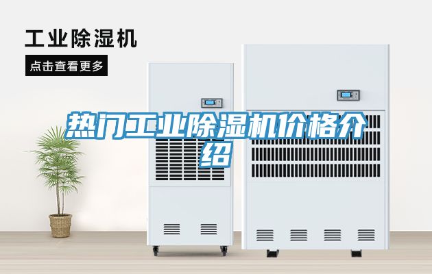 热门工业猫咪成人官网价格介绍