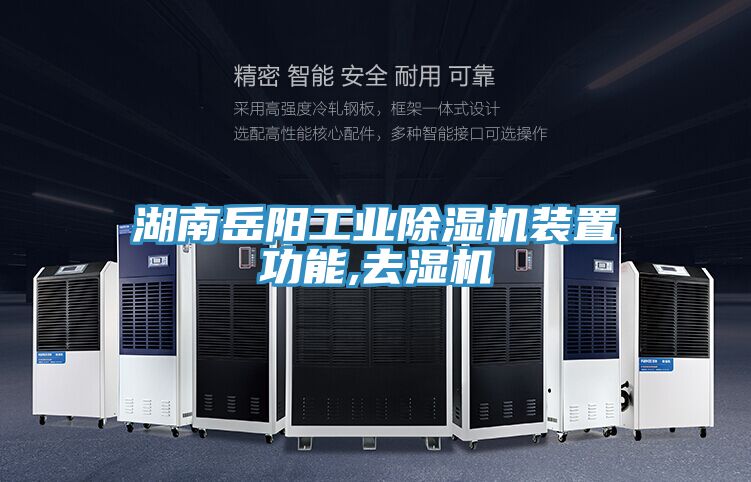 湖南岳阳工业猫咪成人官网装置功能,去湿机