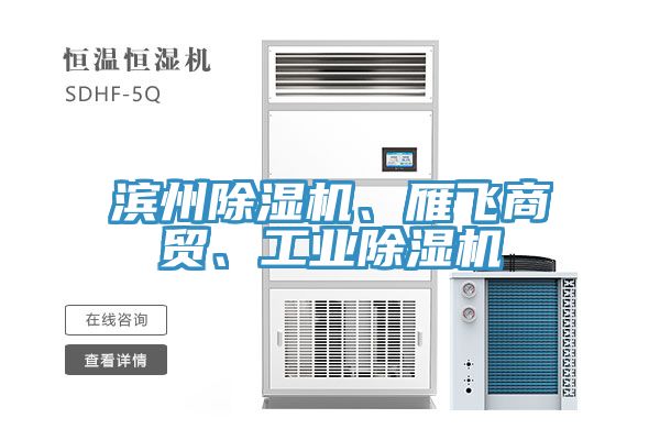 滨州猫咪成人官网、雁飞商贸、工业猫咪成人官网
