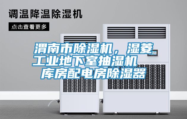 渭南市猫咪成人官网，湿菱工业地下室抽湿机  库房配电房除湿器