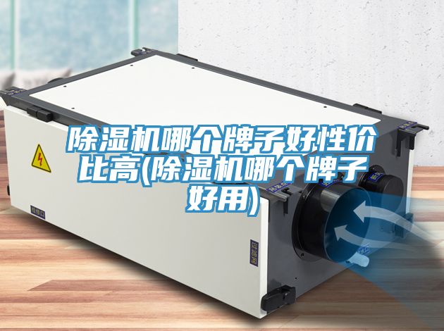 猫咪成人官网哪个牌子好性价比高(猫咪成人官网哪个牌子好用)