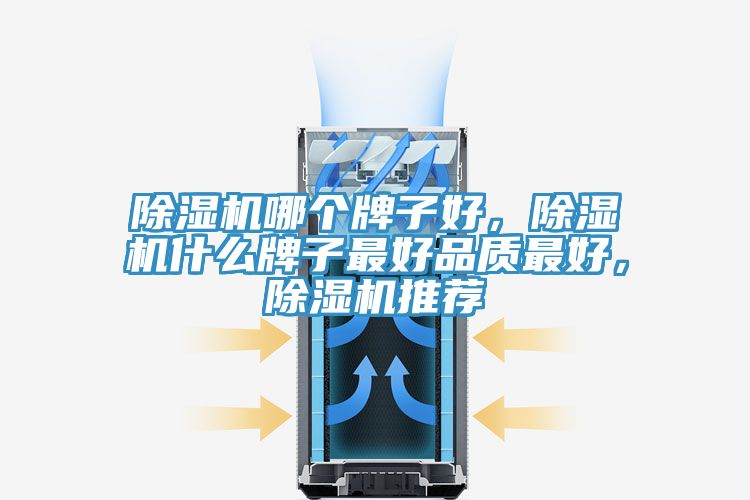 猫咪成人官网哪个牌子好，猫咪成人官网什么牌子最好品质最好，猫咪成人官网推荐
