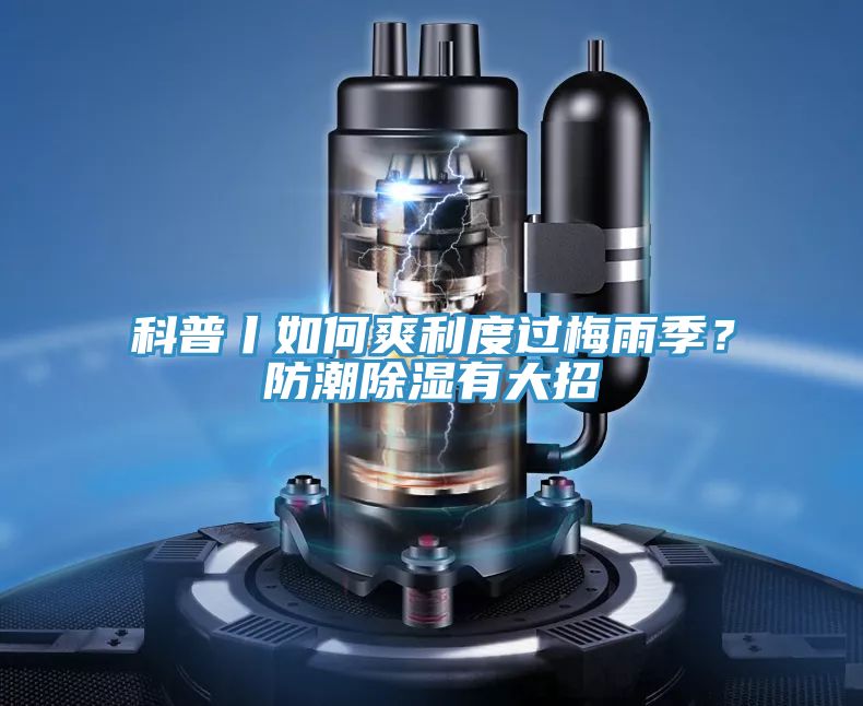 科普丨如何爽利度过梅雨季？防潮除湿有大招