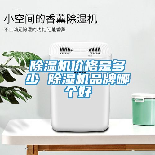 猫咪成人官网价格是多少 猫咪成人官网品牌哪个好