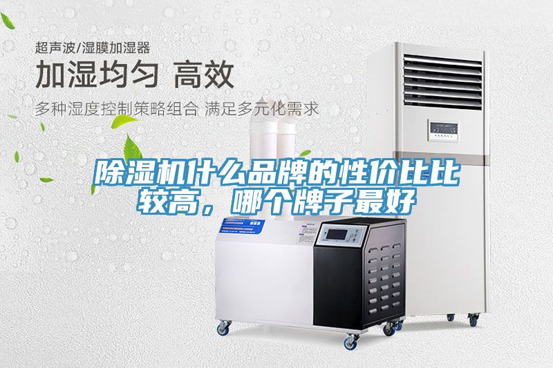 猫咪成人官网什么品牌的性价比比较高，哪个牌子最好