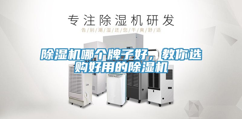 猫咪成人官网哪个牌子好，教你选购好用的猫咪成人官网